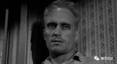 杀死一只知更鸟永远不要杀死一只知更鸟
