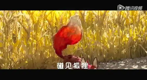 小王子首周票房飘红暖心巨制创口碑奇迹
