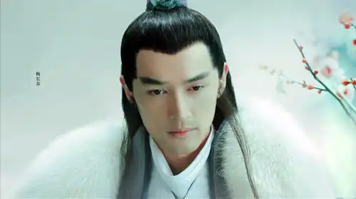 梦回琅琊榜,权谋之外的家国情怀,支持所有人到最后的是情义