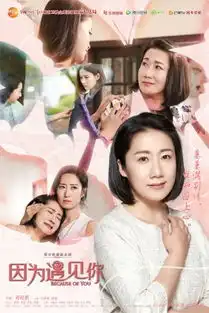 因为遇见你迎收官良心制作传承刺绣精神
