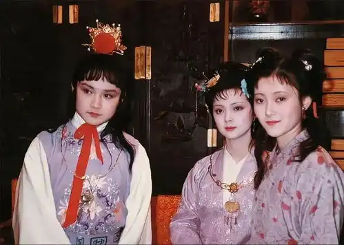 红楼梦贾家两代人名字,谐音摄政株连,这才是贾家败落真相

