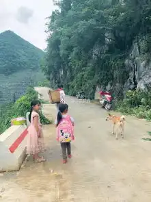 小黄狗两年来每天到学校接留守小姐妹放学回家,中国版的忠犬八公...