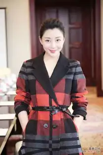 鸡毛飞上天发布殷桃再演独立女性