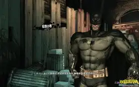 蝙蝠侠阿卡姆疯人院年度版天邈汉化补丁v1.2下载多特单机游戏
