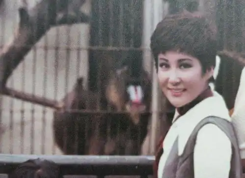 向华强陈岚夫妇,为何坚持四十年如一日赡养向华强前妻丁佩
