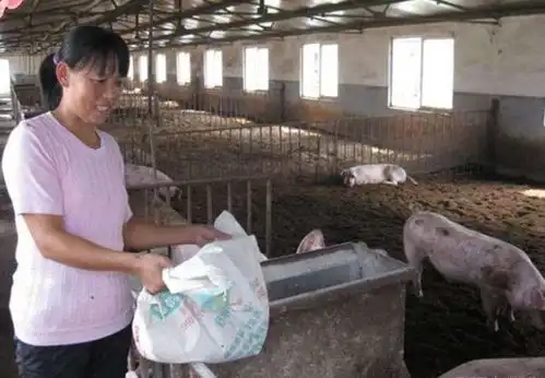 十五年的付出,从阿姨升级到妈妈一个女人的半路婚姻历程

