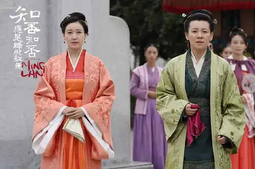 宅斗古装剧评分榜top9当家主母胜过玉楼春,知否7.7分竟才第二
