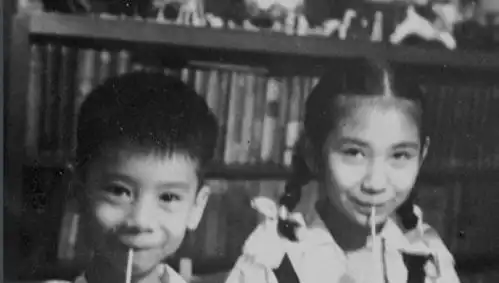 被誉为亚视之光,曾拒绝无线挖角,68岁演黑帮大姐
