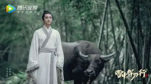 雪中悍刀行电视剧人物定妆照,你喜欢这个洪洗象和韩生宣吗
