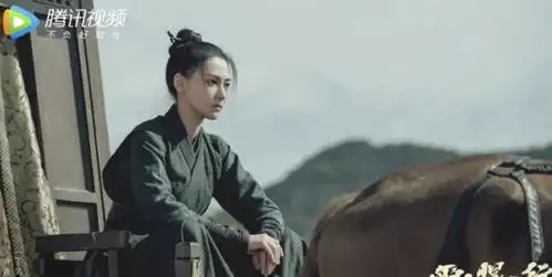 雪中悍刀行人物剧照陈芝豹