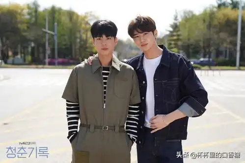 tvn票选最爱电视剧top15爱的迫降第十,冠军打败文森佐
