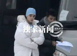 范冰冰王学圻情陷钢铁侠3
