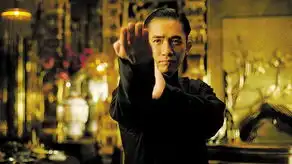 评一代宗师剧情欠缺烟火气
