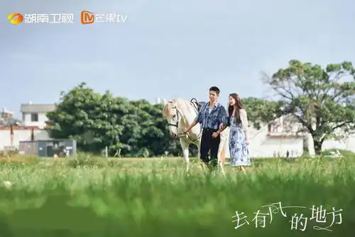 李京盛评去有风的地方新的题材和新的审美给作品带来的持久魅力