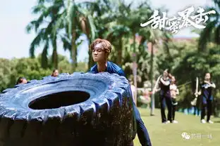 卫视暑期档虽无爆款却有创新,但仍被视频网站抢戏
