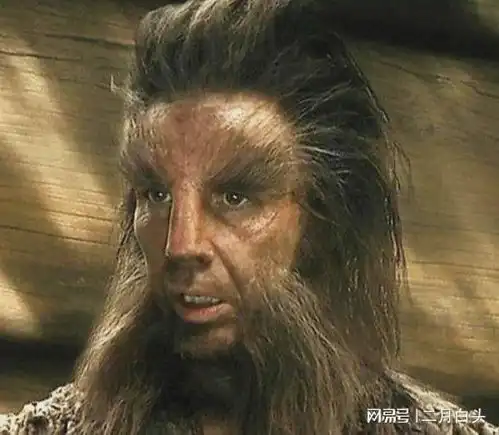 霍比特人电影中换皮人比翁和他种族的来龙去脉
