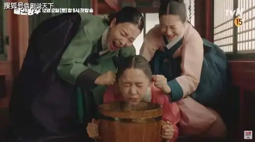 韩版太子妃升职记来袭,申惠善挑战男子穿越后,哭笑都有趣
