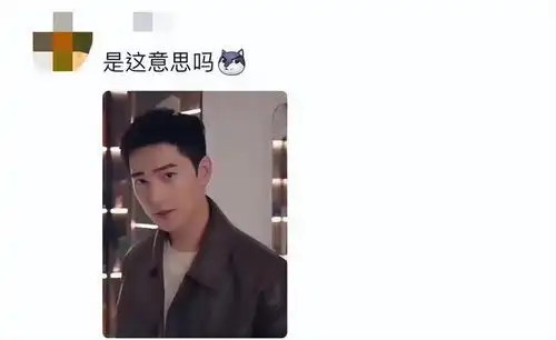 李木戈美学生于东宫,红于司藤,薨于人间烟火