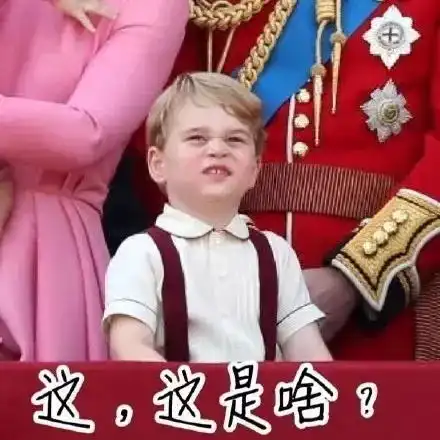 乔治小王子一年级的课表曝光,吓坏人网友中国爸妈了解一下
