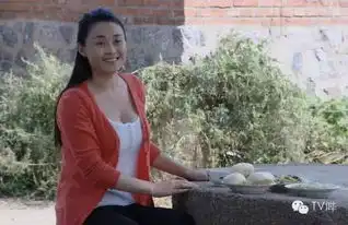 细节超琅琊榜乡村爱情8画风变老年诱惑台词也很露骨