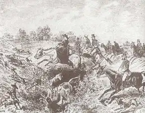 茜茜公主她,第一次世界大战的导火索
