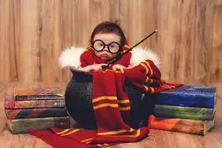 美国母亲将宝宝扮成哈利波特可爱画面萌化人心