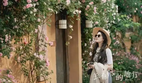 去西双版纳与郭麒麟冒险,还是去云南打卡刘亦菲同款跟着热剧去旅行