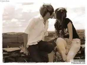 宁夏观光夜市各种美食可以免费吃啦