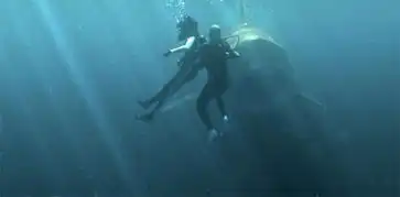 杰森斯坦森联手李冰冰冒险巨齿鲨现中国元素
