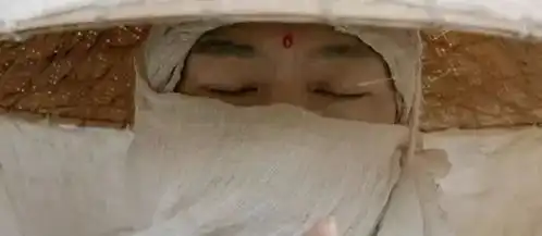 灵魂摆渡黄泉篇,赵吏入冥界,杀孟婆,玄女冬青单篇,随后杀到
