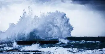 关于美国部分区域受飓风影响导致物流服务延迟的通知