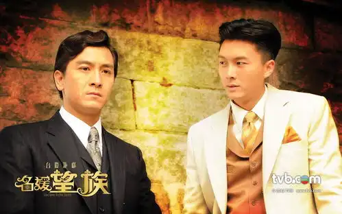 tvb2012台庆剧名媛望族
