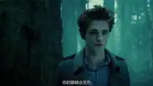 暮光之城暮色
