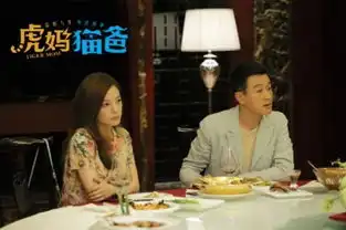 赵薇佟大为虎妈猫爸45集电视剧全集145分集剧情介绍大结局
