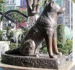 八公犬的雕塑在日本什么地方