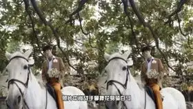 魅力值up的浴缸照
