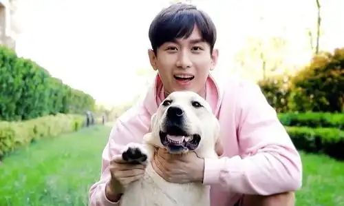 电视连续剧琉璃结束了