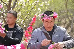 清明时节樱花情
