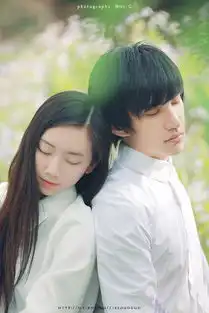 夏有乔木,雅望天堂3
