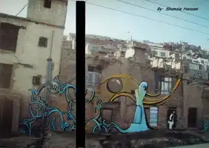 她在墙上刷满梦想涂鸦,一己之力拯救阿富汗女性