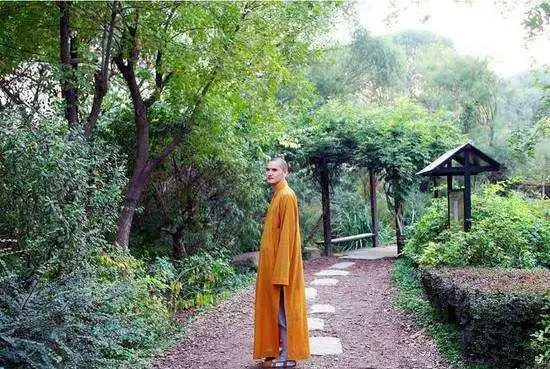 浙江80后小伙,放弃铁饭碗当和尚,却被富二代美女倒追,为啥