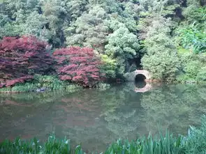 从颐和园玉带桥的三张照片说起
