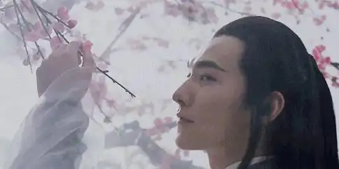 三生三世十里桃花仙气源于空洞,高冷来自无趣
