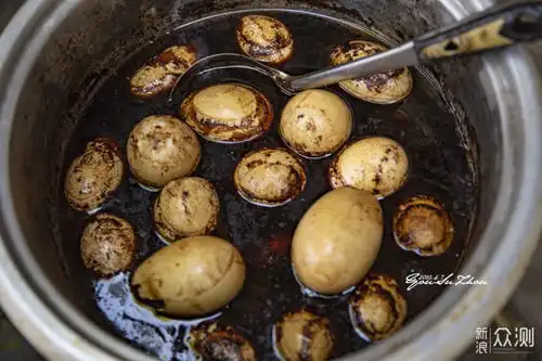 和小姐姐一日行摄苏州,哪里都挺好的