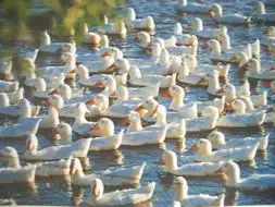 星月童话官方剧照
