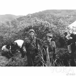 亮剑3吴昕戏份杀青po照叹不舍
