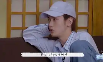 从延禧攻略到青春有你