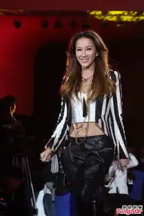 组图梦之声办开播盛典黄晓明李玟韩红等亮相