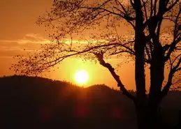 2011首届常州婚庆博览会