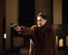 小说罗曼蒂克消亡史中都有哪些电影未提及的情节
